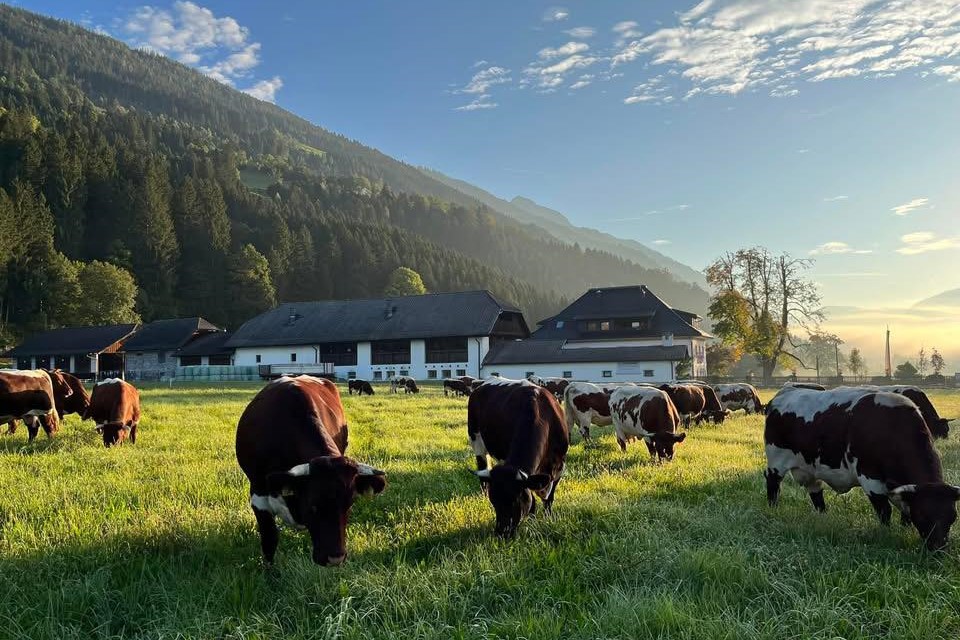 Rasdorferhof | Familie Hopfgartner