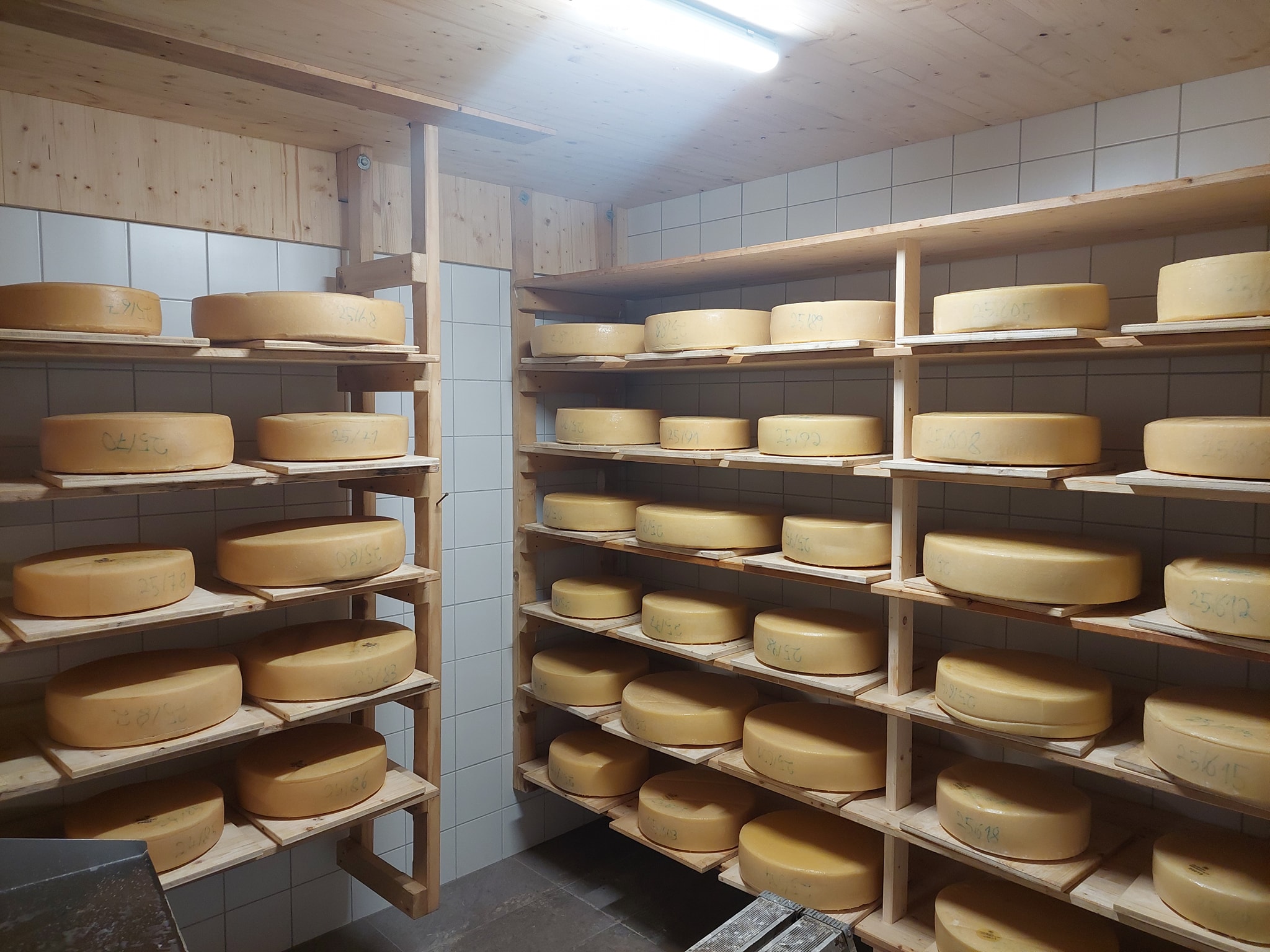 Tressdorfer Alm | Familie Glantschnig