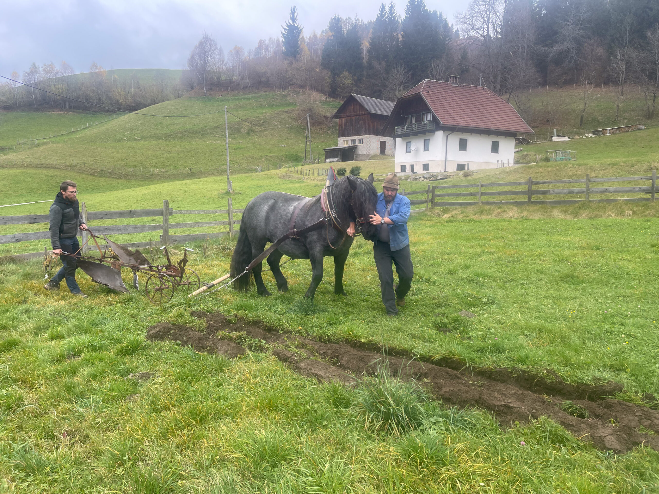 Stadtkramer | Gütler - Arriach - Vorschau 2